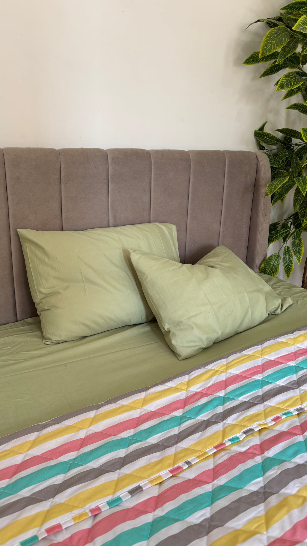 kiwi plain sheet set