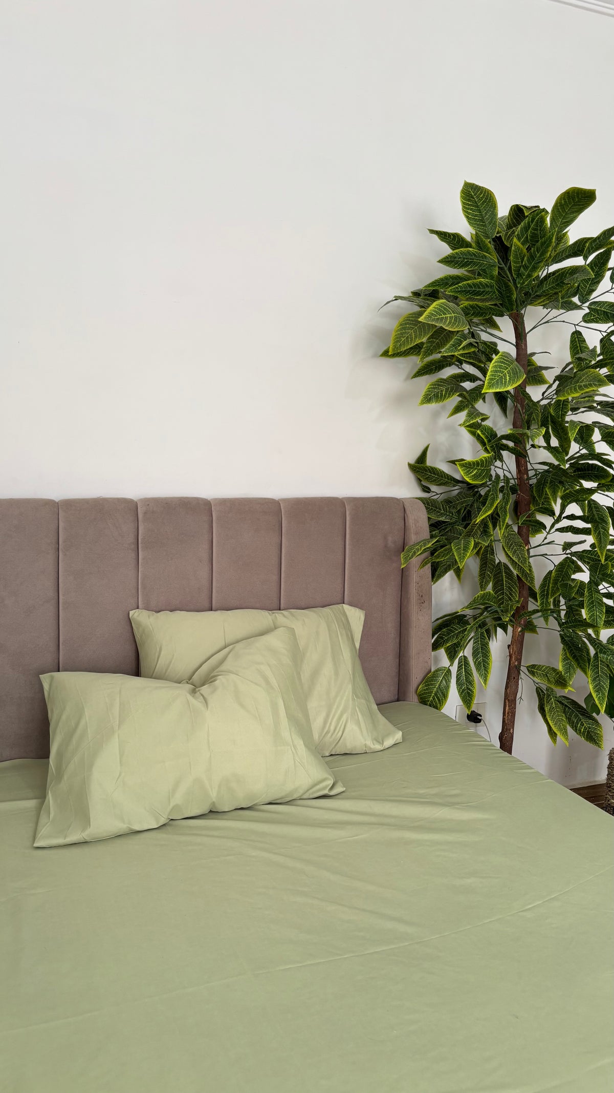 kiwi plain sheet set